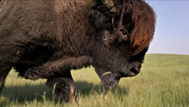 Canada, la force de la nature